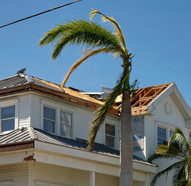A house in Florida with roof damage and missing shingles stands near a bent palm tree, likely struck by strong winds. Pantheon Roofing may be needed to restore the damaged roof to its original condition.