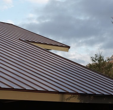 Metal roof by Pantheon Roofing with overlapping panels and an overhanging extension, set against a cloudy Florida sky and tree branches visible on the right.