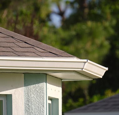 Close-up of a house corner in Florida, with a shingled roof by Pantheon Roofing, a white rain gutter, and part of a light-colored exterior wall with a window below. Trees are softly blurred in the background.