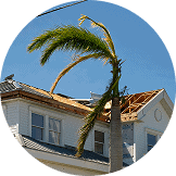 A palm tree bends over a Florida house with significant roof damage, revealing exposed rafters under a clear blue sky—a scene that calls for experts like Pantheon Roofing.