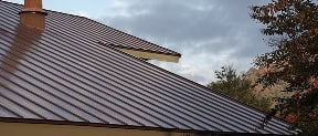 A metal roof with a chimney is shown, installed by Pantheon Roofing, under a cloudy sky with some trees in the background in Florida.