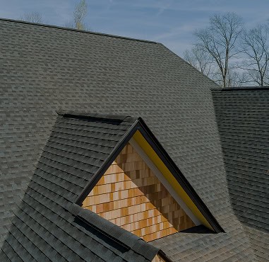 Close-up of a residential roof by Pantheon Roofing in Florida, showcasing dark gray shingles and a dormer with wood siding, set against leafless trees in the background.